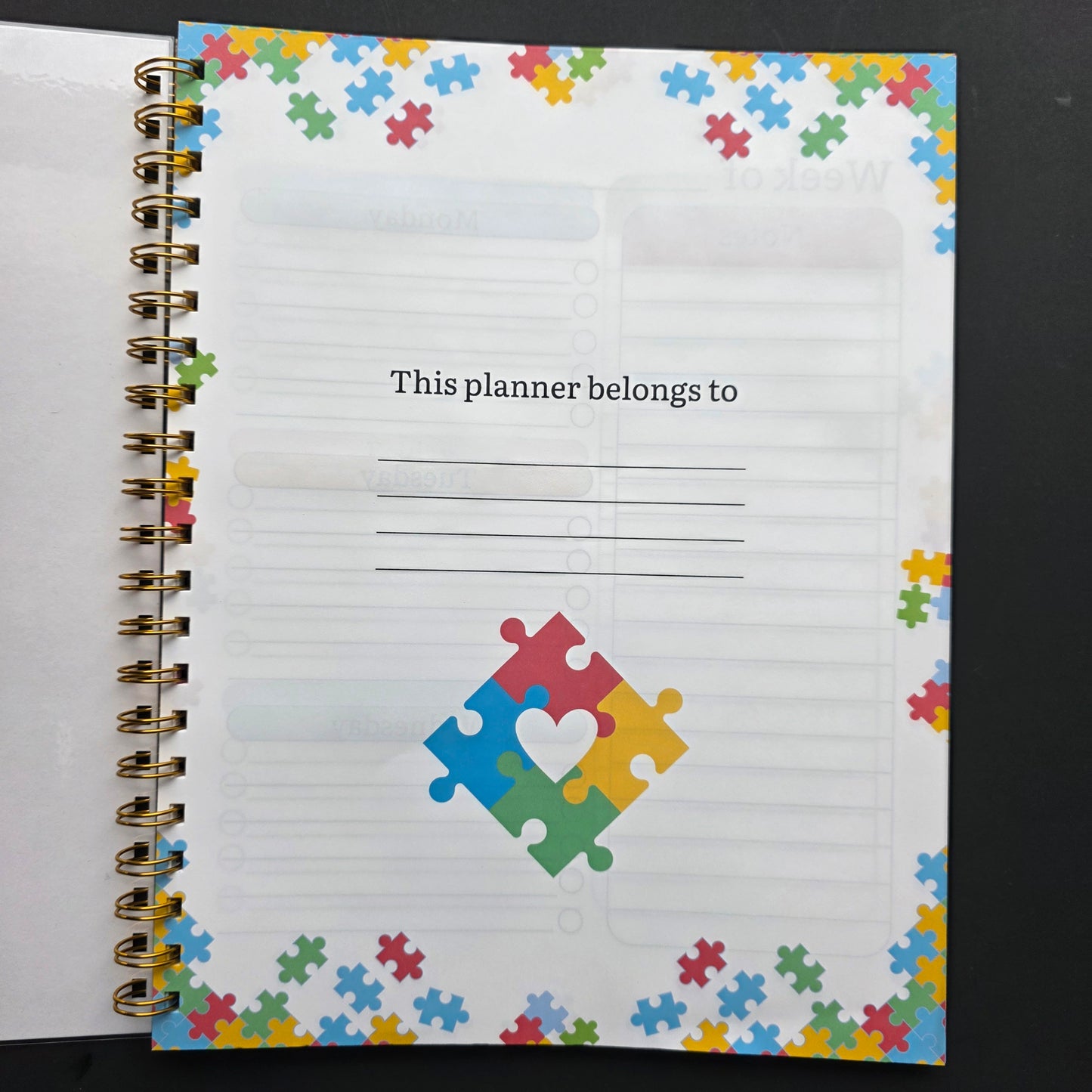 Autism Weekly Planner