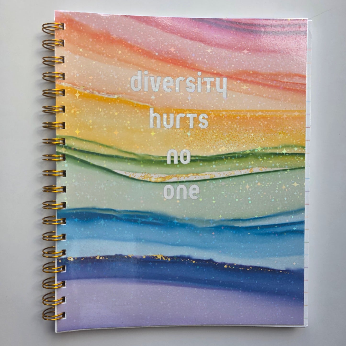 Diversity Hurts NoOne 8x10 Notebook