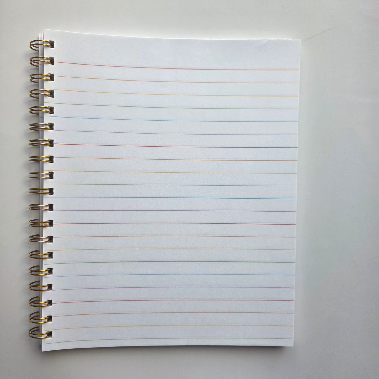 Diversity Hurts NoOne 8x10 Notebook