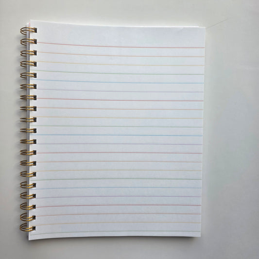 Diversity Hurts NoOne 8x10 Notebook