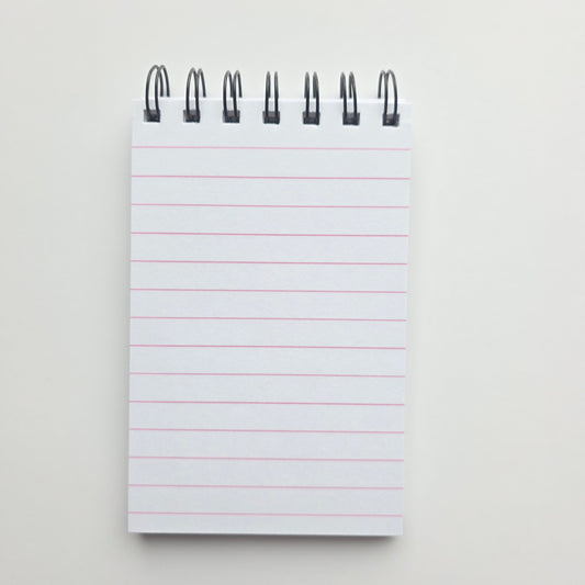 My Cat and I Talk Sh*t 3.5x5.5 Notebook