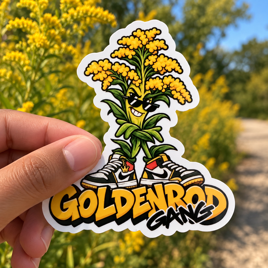 A hand holds a die-cut sticker featuring a cartoon golden flower plant wearing sunglasses and sneakers, with the text 'GOLDENROD GANG' below. The background shows a blurred outdoor field of yellow flowers and a dirt path.